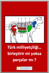 milliyetçilik