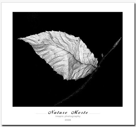 olum_zaman_yaprak_1a