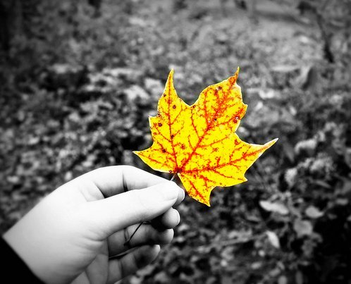 olum_zaman_yaprak_6a