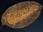 soyut_sanat