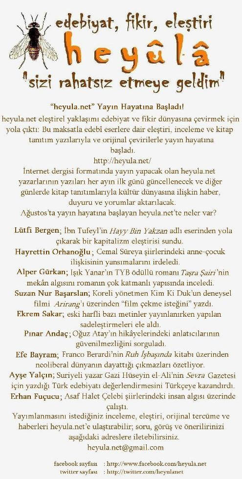 heyula_basin_bulteni