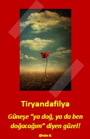 kapak_Tiryandafilya