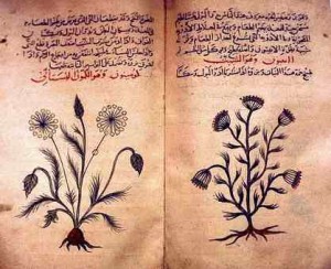 Arabic_herbal_medicine_guidebook