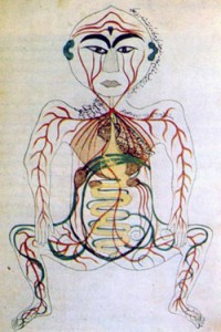 persian_digestive_system