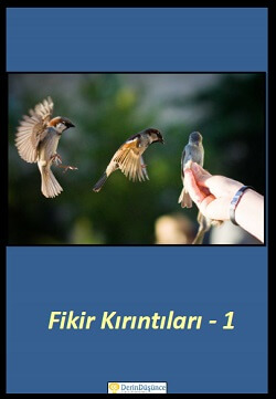 fikir-kirintilari